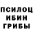 Каннабис OG Kush BXRXKTXR