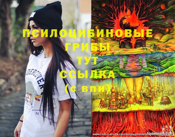 твердый Абинск
