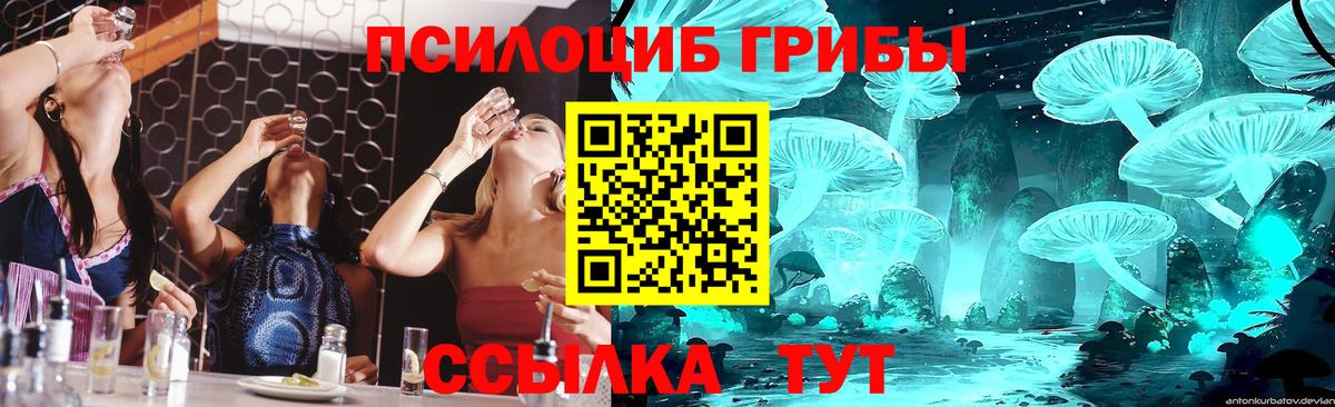 Галлюциногенные грибы Cubensis  Вход с VPN  Краснодар 