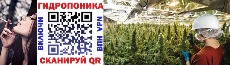 Конопля семена  купить наркоту  Краснодар 